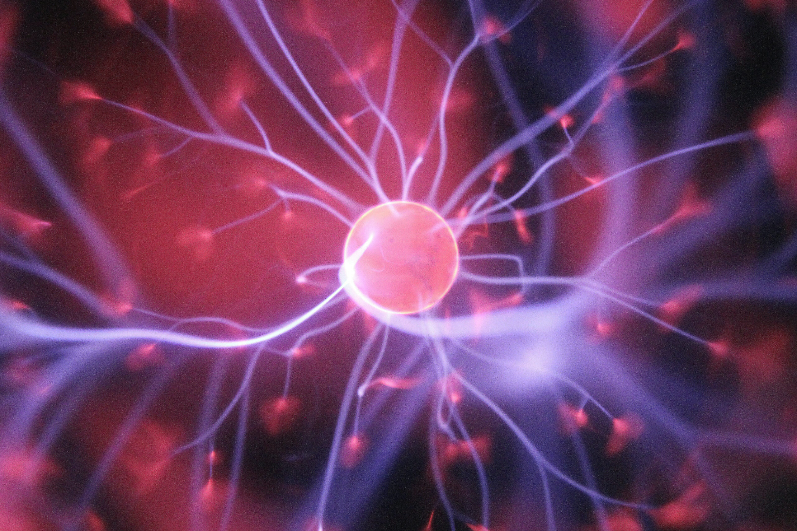 Potíže ve škole? Možná za ně může nezralý mozek.